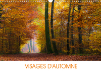 VISAGES D'AUTOMNE (CALENDRIER MURAL 2020 DIN A3 HORIZONTAL) - EN AUTOMNE, LA NATURE TIRE SA REVERENC