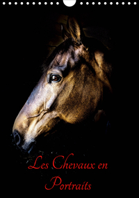 CHEVAUX EN PORTRAITS (CALENDRIER MURAL 2020 DIN A4 VERTICAL) - PORTRAITS DE CHEVAUX EN LIBERTE ET ST