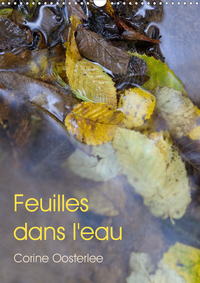 FEUILLES DANS L'EAU (CALENDRIER MURAL 2020 DIN A3 VERTICAL) - ECLATS DE LUMIERE SUR LES FEUILLES INO