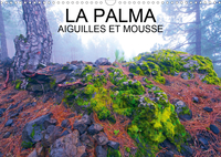 LA PALMA AIGUILLES ET