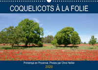 COQUELICOTS A LA FOLI