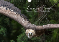 EN VOL ET LIBERTE CA
