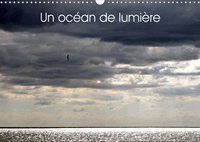 UN OCEAN DE LUMIERE