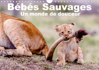 BEBES SAUVAGES - UN MONDE DE DOUCEUR (CALENDRIER MURAL 2020 DIN A4 HORIZONTAL) - BEBES MAMIFERES DAN