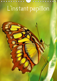 L INSTANT PAPILLON C