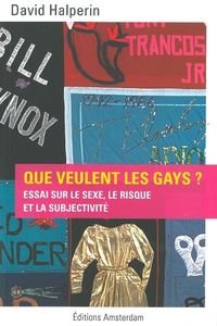 QUE VEULENT LES GAYS ? - ESSAI SUR LE SEXE, LE RISQUE ET LA SUBJECTIVITE