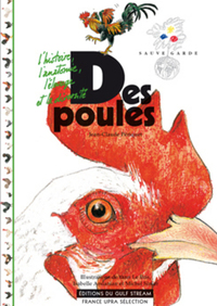 Des poules (NE)