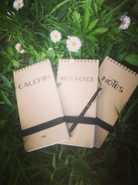 SPIRALES MES NOTES KRAFT