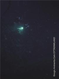 GIORGIO ANDREOTTA CALO : CITTADIMILANO /ANGLAIS