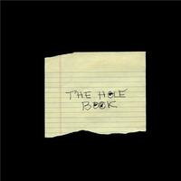 Luis Camnitzer: The Hole Book /anglais