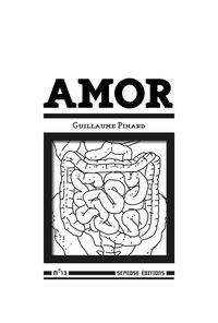 AMOR - N 13