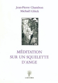MEDITATION SUR UN SQUELETTE D'ANGE
