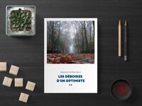 Les déboires d'un optimiste