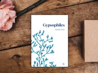 Gypsophiles