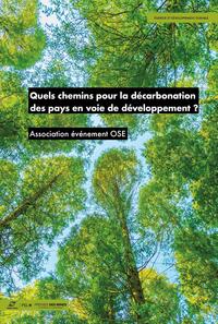 Quels chemins pour la décarbonation des pays en voie de développement ?