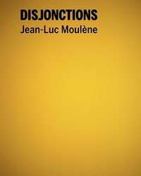 Jean-Luc Moulène, Disjonctions - [exposition, Bourges, Le Transpalette Centre d'art contemporain-Emmetrop, 5 juin-12 juillet 2014]