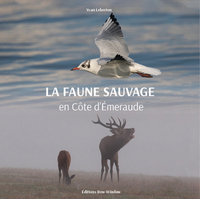 La faune sauvage en côte d’Emeraude