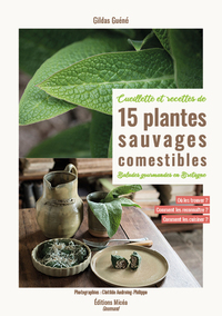 Cueillette et recettes de 15 plantes sauvages comestibles