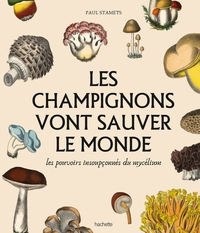 LES CHAMPIGNONS VONT SAUVER LE MONDE - LES POUVOIRS INSOUPCONNES DU MYCELIUM