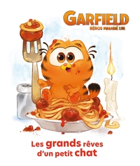 Garfield (film) - Les grands rêves d'un petit chat (broché)