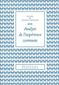 ANALYSE DE L'EXPERIENCE COMMUNE