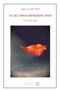 CE QUE NOUS CHERCHONS TOUS - ICI ET LA-BAS