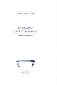 UN DIAMANT SANS ETONNEMENT