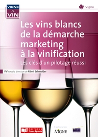 Vinification en blanc, la technologie au service des marchés