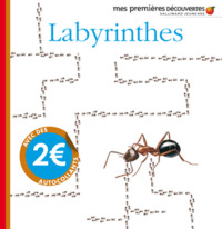 Labyrinthes