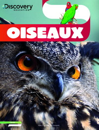 OISEAUX