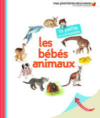 LES BEBES ANIMAUX
