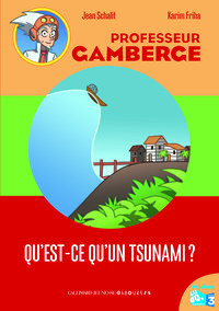 QU'EST-CE QU'UN TSUNAMI?