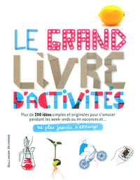 Le grand livre d'activités