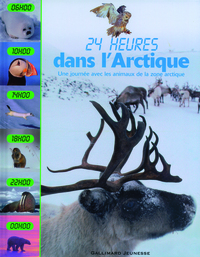 Dans l'Arctique une journée avec les animaux de la zone arctique