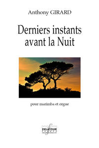 DERNIERS INSTANTS DEPUIS LA NUIT