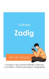 Réussir son Bac de français 2024 : Analyse de Zadig de Voltaire