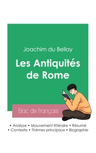 Réussir son Bac de français 2023 : Analyse des Antiquités de Rome de Joachim du Bellay