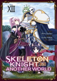 Skeleton Knight in Another World