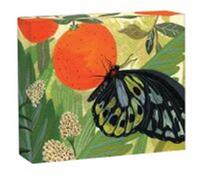 Butterflies - Quicknotes /anglais