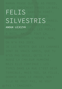 Felis Silvestris