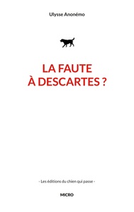 La faute à descartes ?