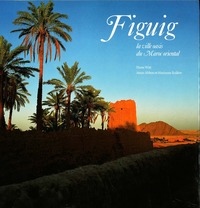 FIGUIG  LA VILLE OASIS DU MAR