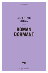 ROMAN DORMANT