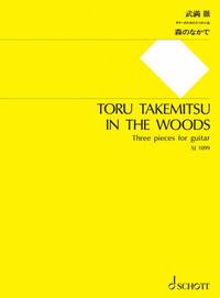 IN THE WOODS GUITARE