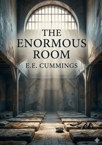The Enormous Room