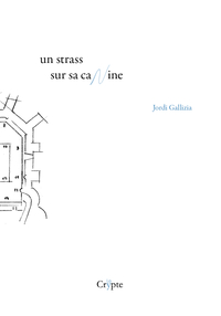 UN STRASS SUR SA CANINE