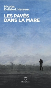 LES PAVES DANS LA MARE