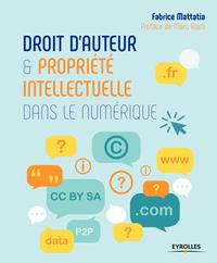 DROITS D AUTEUR ET PROPRIETE INTELLECTUELLE DANS LE NUMERIQUE