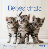 Bébés chats - la collection