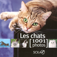 LES CHATS EN 1001 PHOTOS